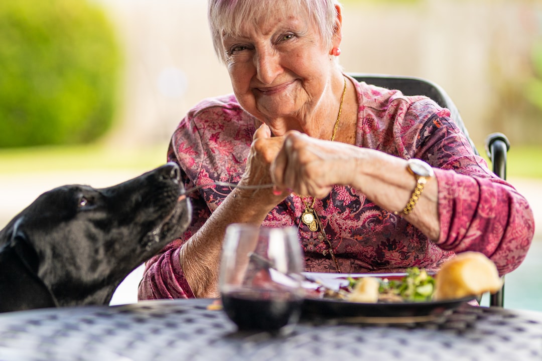 The Ultimate Guide to Supplements and Nutrition for Senior Dogs: Promoting Longevity, Mobility, and Well-Being